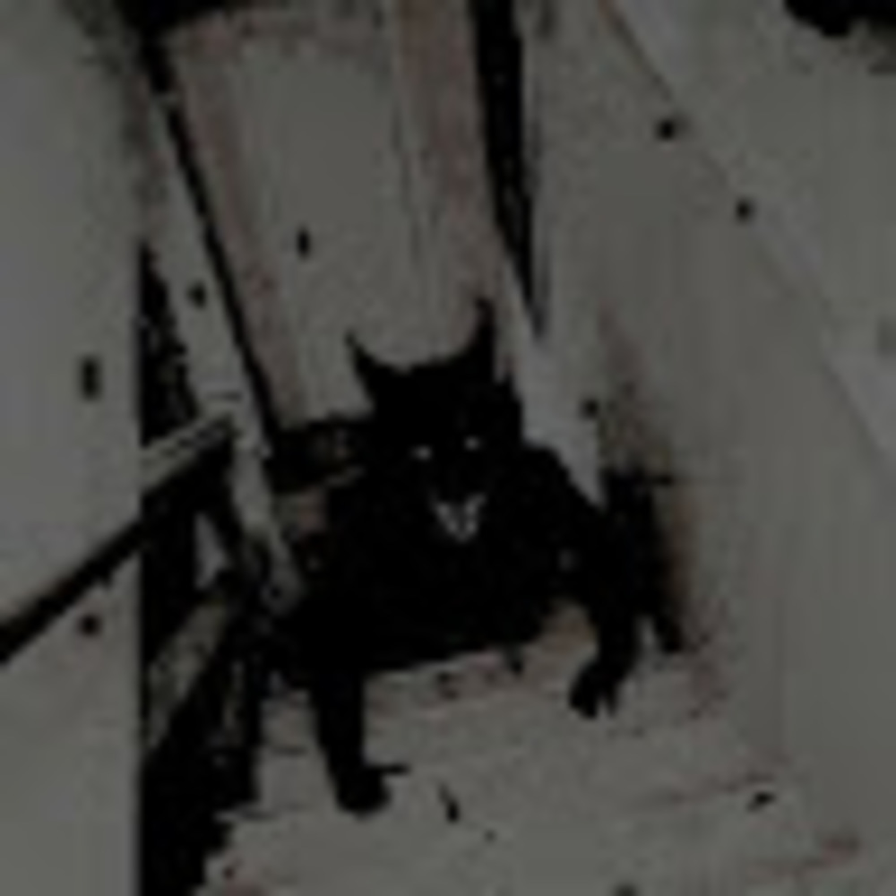 Meet your Posher, Hell